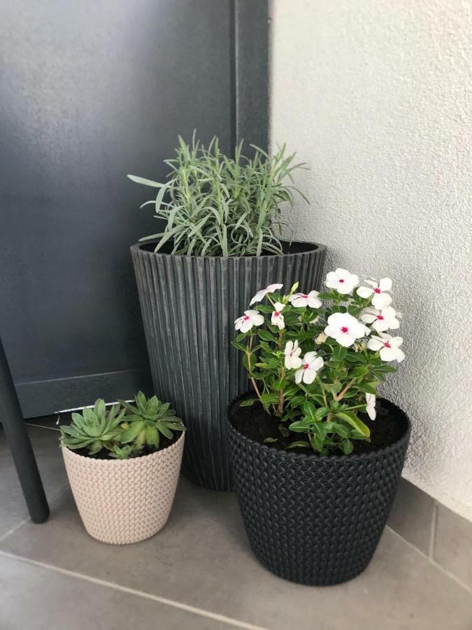 Premier Apartment Luceafarul Nagyvárad Kültér fotó